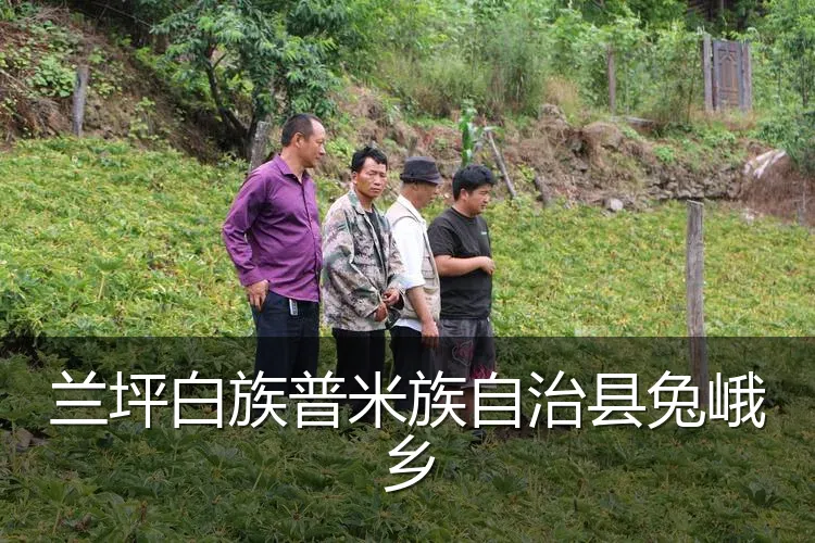 兰坪白族普米族自治县兔峨乡