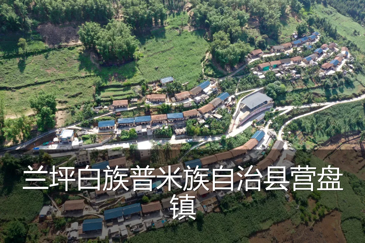 兰坪白族普米族自治县营盘镇