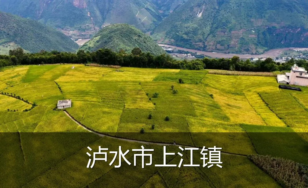 泸水市上江镇
