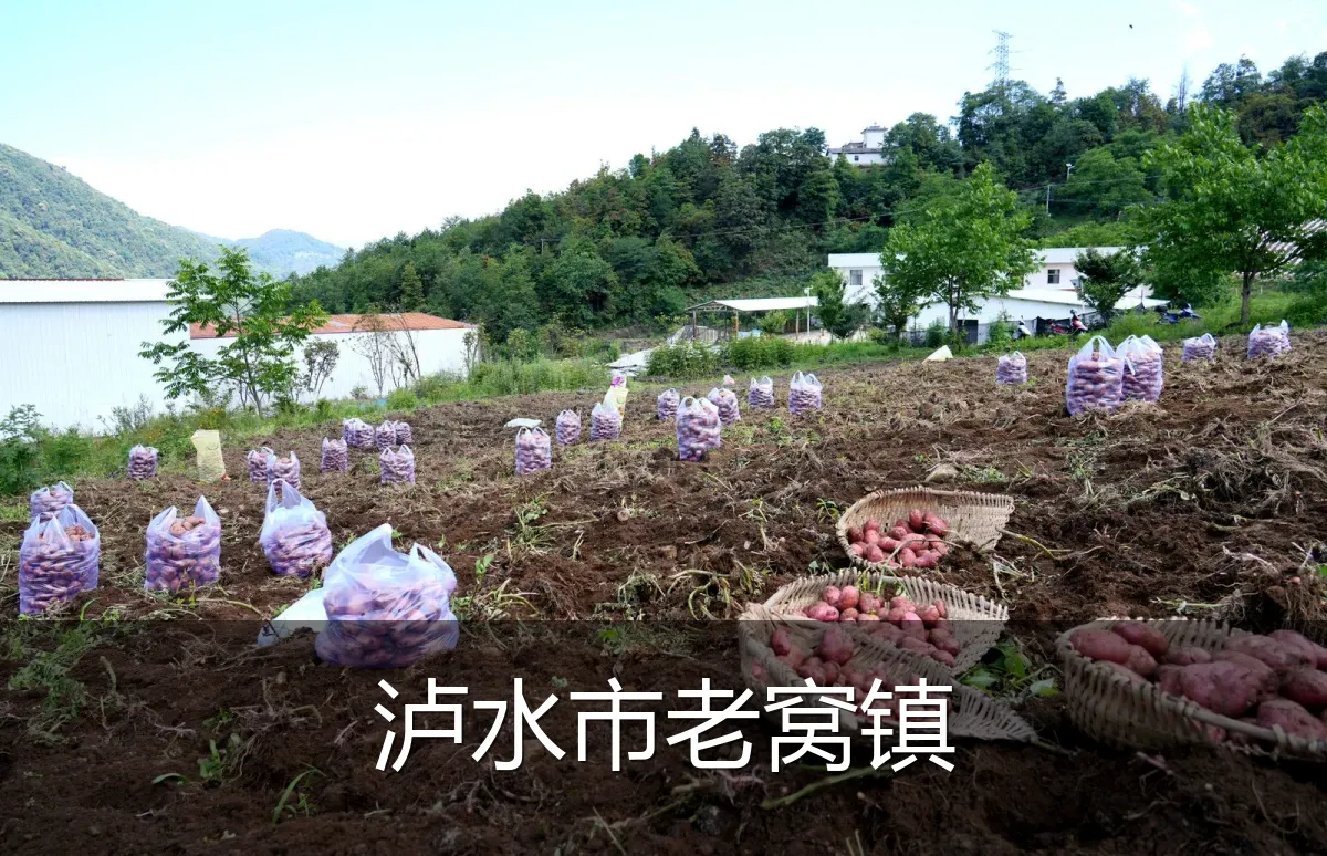 泸水市老窝镇